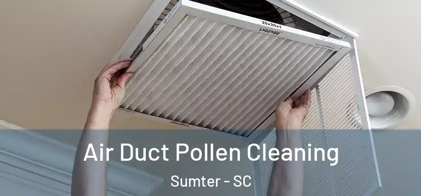  Air Duct Pollen Cleaning Sumter - SC
