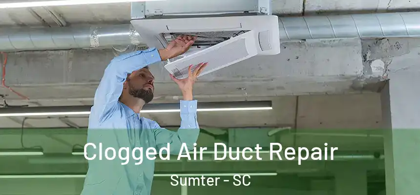  Clogged Air Duct Repair Sumter - SC