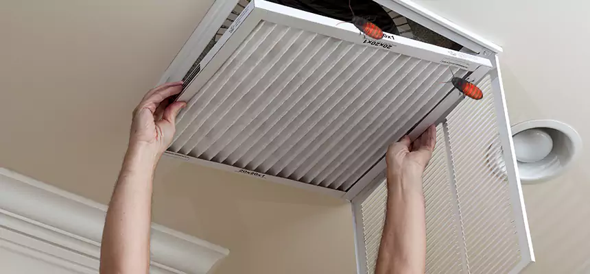 Our Insect Removal from Air Ducts Services in Sumter, SC