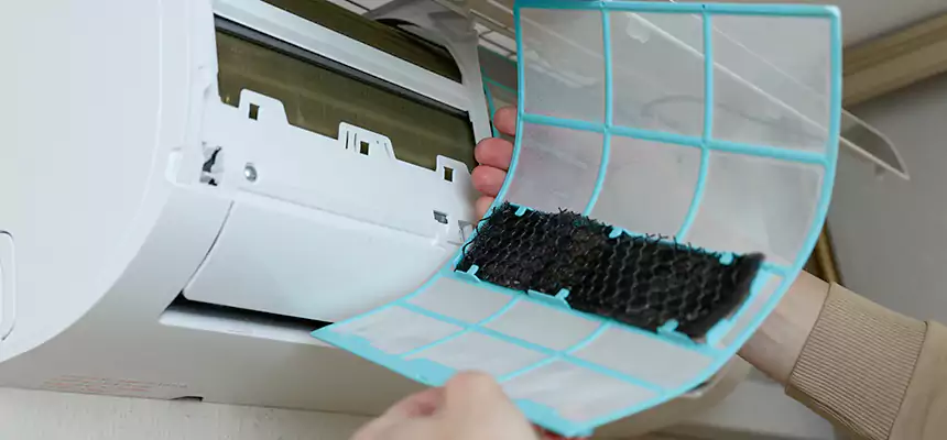 Gentle Ductwork Odor-Control Pet Dander Duct Cleaning in Sumter, SC