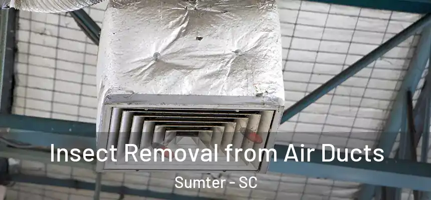  Insect Removal from Air Ducts Sumter - SC