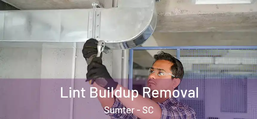  Lint Buildup Removal Sumter - SC