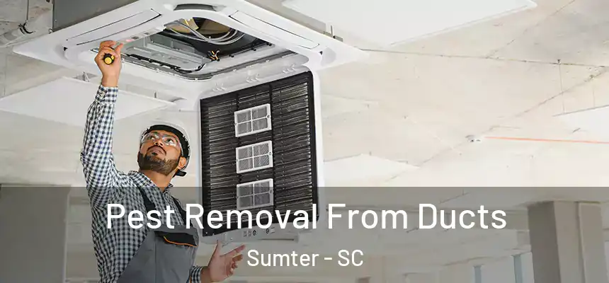 Pest Removal From Ducts Sumter - SC