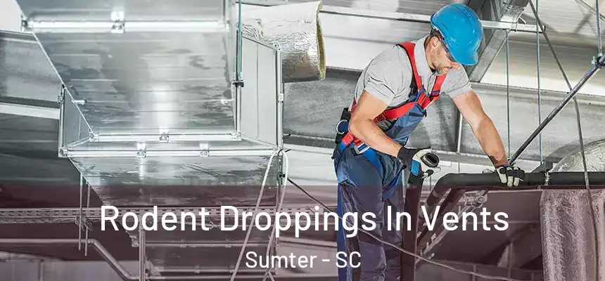  Rodent Droppings In Vents Sumter - SC