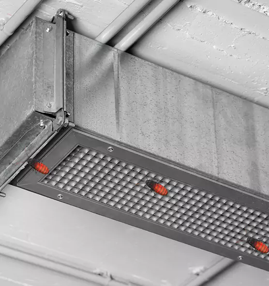 About Air Duct Cockroach Removal in Sumter, SC