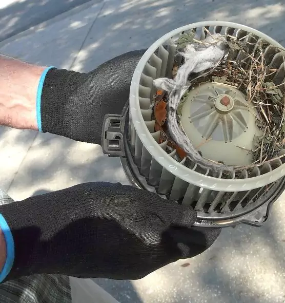 About Air Duct Rat Removal in Sumter, SC