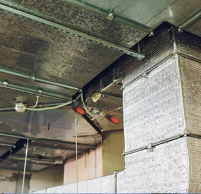 Why Homeowners & Businesses Trust Us in Sumter, SC?